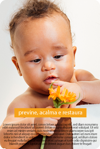 Promo&ccedil;&otilde;es Alimentos e Nutri&ccedil;&atilde;o