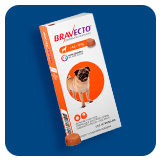 Departamento de produtos de Pet Shop da Drogaria Araujo