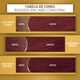 Coloração Niely Cor&Ton Castanho Claro Dourado 5.3-2